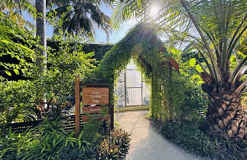 果冻海•耀珍珠|马尔代夫米莱度岛度假酒店(Milaidhoo Maldives)泳池水屋及沙屋全体验