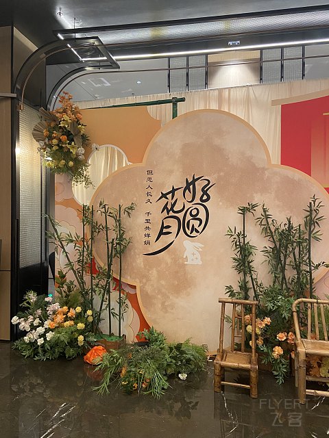 小城好选择—阳江中心福朋喜来登酒店