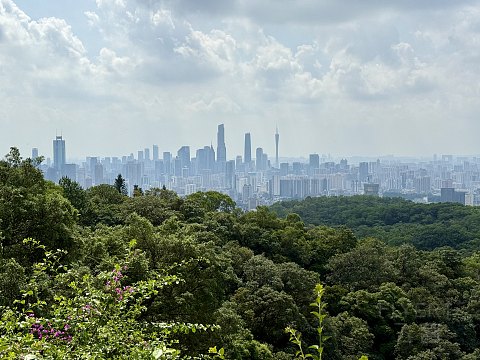 四星的价格/五星的服务/广州白云国际会议中心福朋喜来登酒店