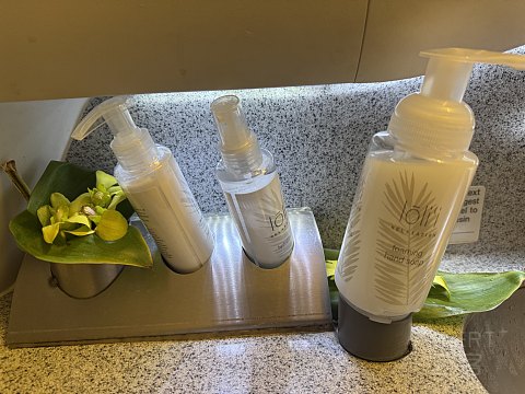 [夏威夷美人携手阿拉斯加老头从西雅图飞向东京]-HA823阿拉斯加航空跨洋洲际公务舱首发
