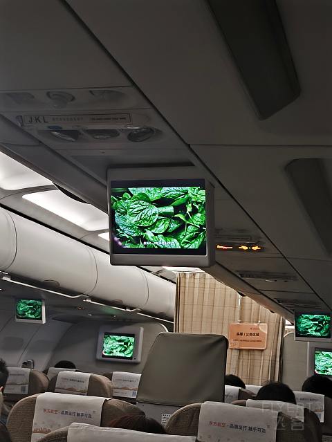 MU老年321，精品热正PEK出。-中国东方航空 MU5122 PEK-SHA 空客A321-200 经济舱