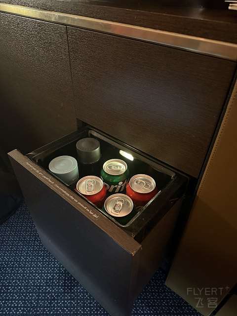 嚇, 搭頭等公寓被這樣搞! 阿提哈德航空 EY499 SIN-AUH First Apartment 飛行報告