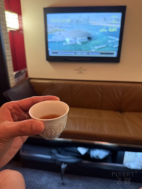 嚇, 搭頭等公寓被這樣搞! 阿提哈德航空 EY499 SIN-AUH First Apartment 飛行報告