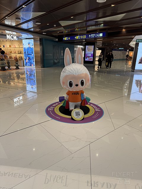 云端初遇国泰：上海浦东-越南胡志明市，国泰航空商务舱体验（CX361/CX769）