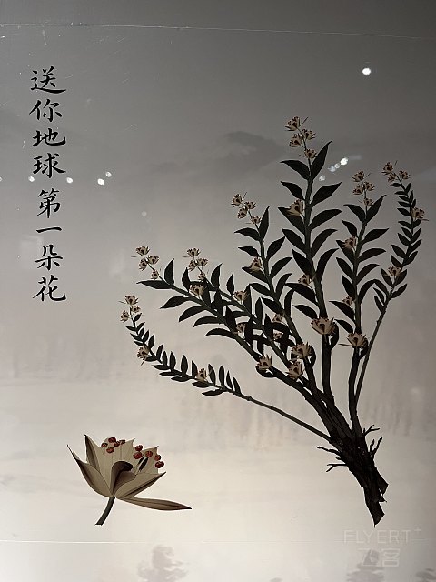 两大一小｜国庆｜上海明天广场JW万豪（升套）