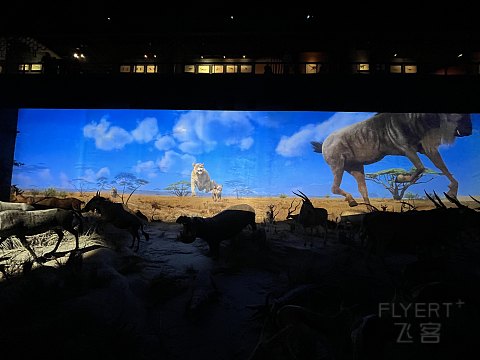 两大一小｜国庆｜上海明天广场JW万豪（升套）