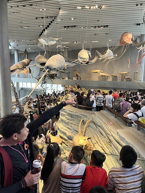 两大一小｜国庆｜上海明天广场JW万豪（升套）