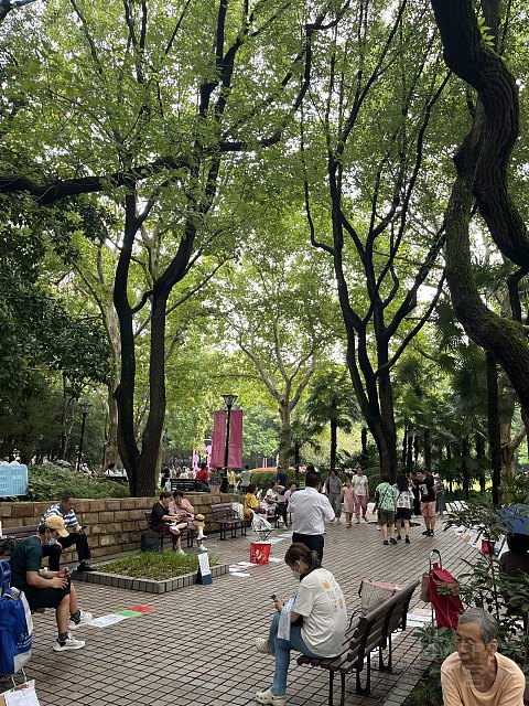 两大一小｜国庆｜上海明天广场JW万豪（升套）