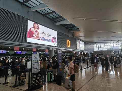 上海奶航，吉祥梦想。-吉祥航空 HO1885 SHA-SZX 波音787-9 经济舱