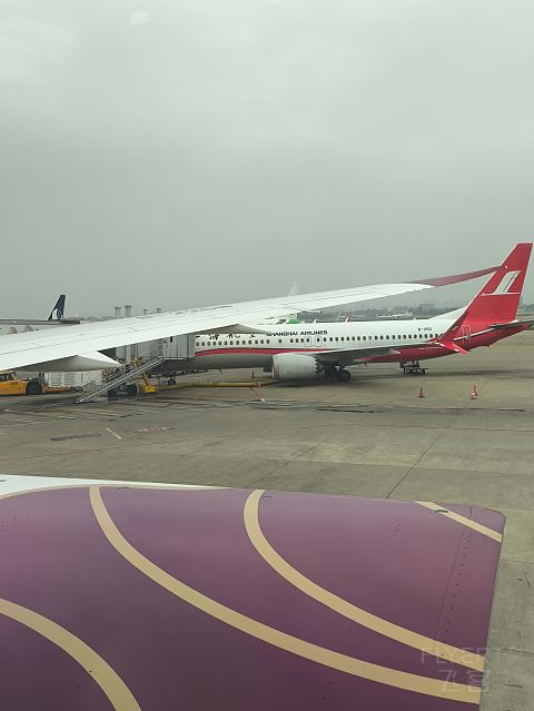 上海奶航，吉祥梦想。-吉祥航空 HO1885 SHA-SZX 波音787-9 经济舱