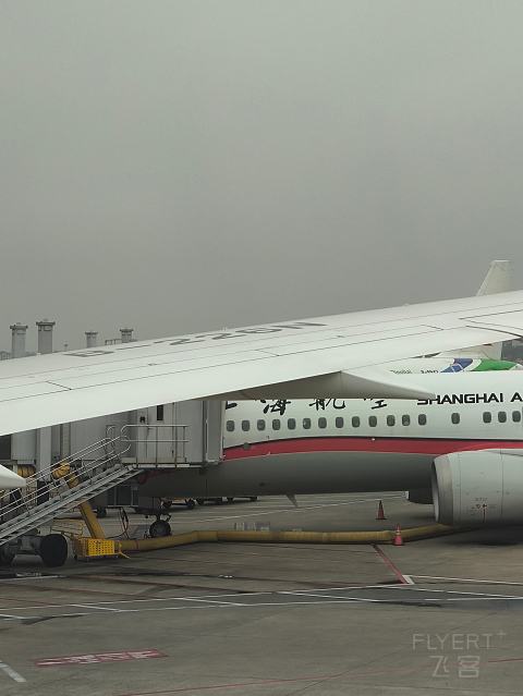 上海奶航，吉祥梦想。-吉祥航空 HO1885 SHA-SZX 波音787-9 经济舱