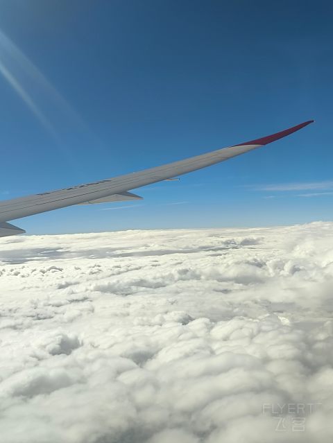上海奶航，吉祥梦想。-吉祥航空 HO1885 SHA-SZX 波音787-9 经济舱