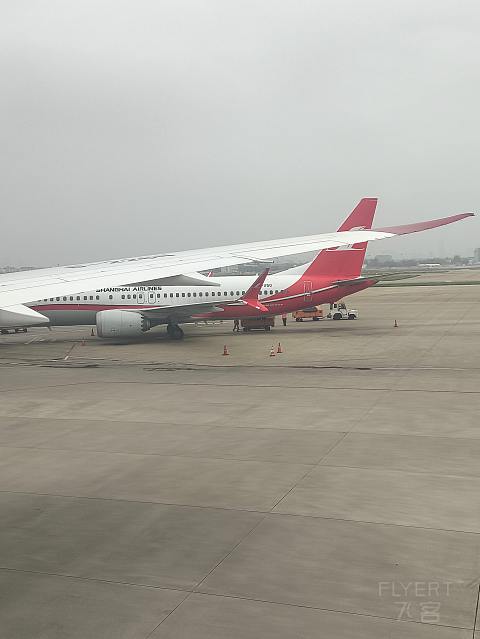 上海奶航，吉祥梦想。-吉祥航空 HO1885 SHA-SZX 波音787-9 经济舱