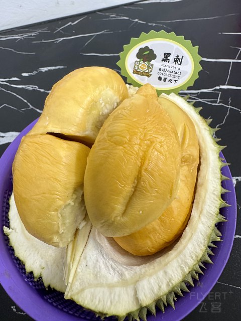 槟城马里奥头牌｜米伦傲途格精选酒店｜被降级的海景套房
