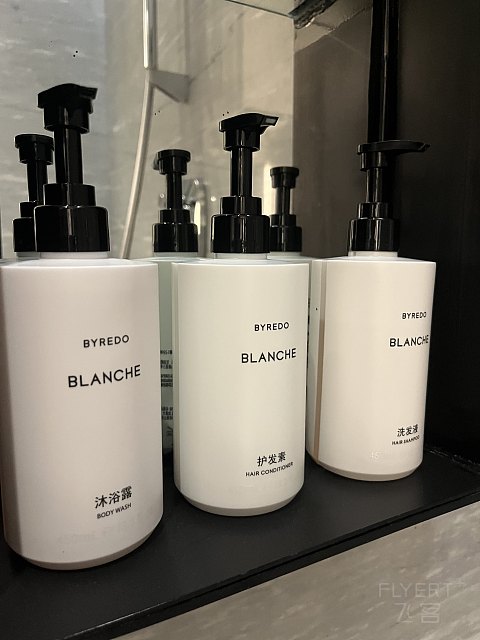 两大一小｜国庆｜佘山世茂洲际酒店