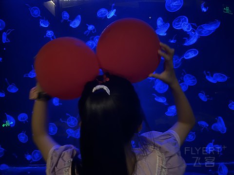 两大一小｜国庆｜佘山世茂洲际酒店