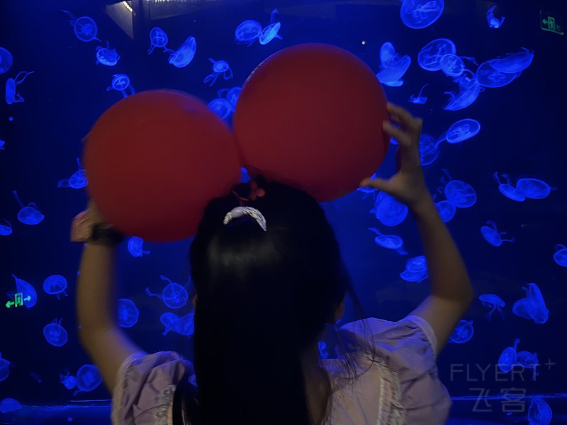 195038ANUAZHUDURAEXWCT.png