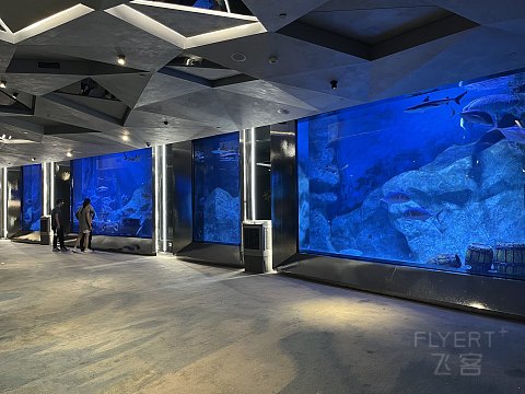 两大一小｜国庆｜佘山世茂洲际酒店