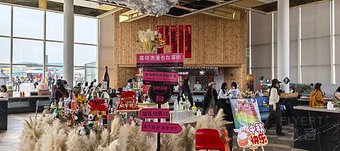 沙漠中的王者莲沙度假酒店