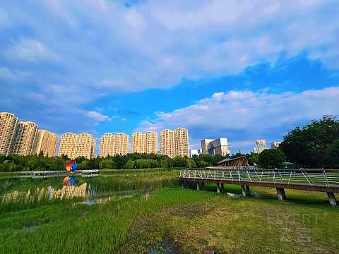 湖光秋色，尽享宁静—成都高新逸衡酒店🏨