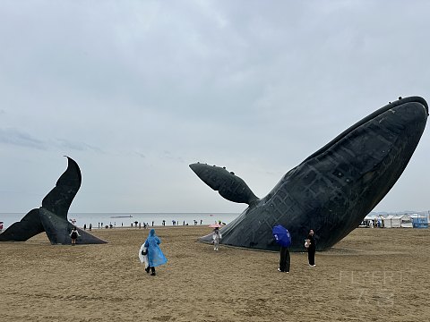 烟台金海岸希尔顿酒店国庆体验