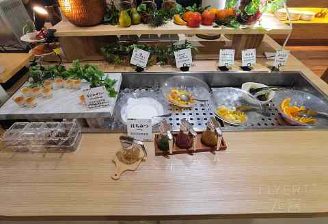 【ANA Holiday Inn 】，札幌薄野全日空假日酒店，入住体验报告
