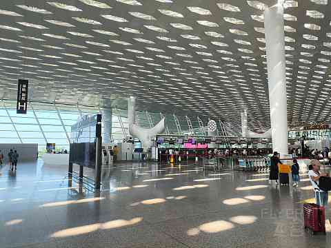 深航全新21N, 深沪航线深航初体验。-深圳航空 ZH9503 空客A321neo SZX-SHA 经济舱