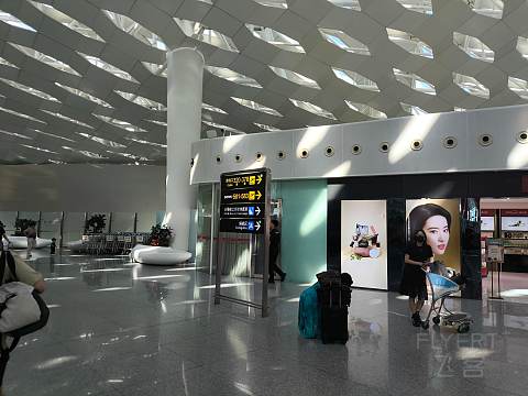 深航全新21N, 深沪航线深航初体验。-深圳航空 ZH9503 空客A321neo SZX-SHA 经济舱