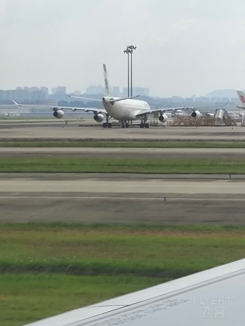 深航全新21N, 深沪航线深航初体验。-深圳航空 ZH9503 空客A321neo SZX-SHA 经济舱