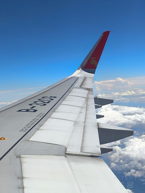 深航全新21N, 深沪航线深航初体验。-深圳航空 ZH9503 空客A321neo SZX-SHA 经济舱