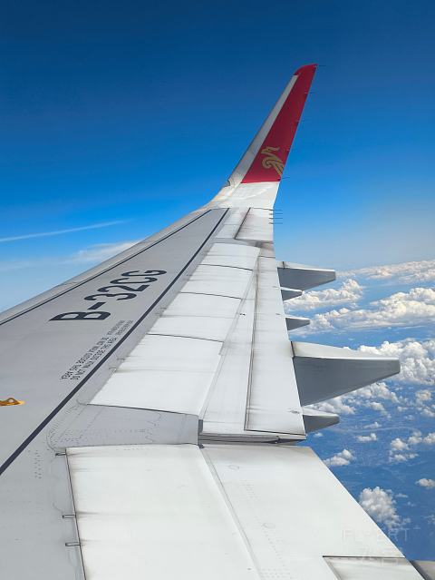深航全新21N, 深沪航线深航初体验。-深圳航空 ZH9503 空客A321neo SZX-SHA 经济舱