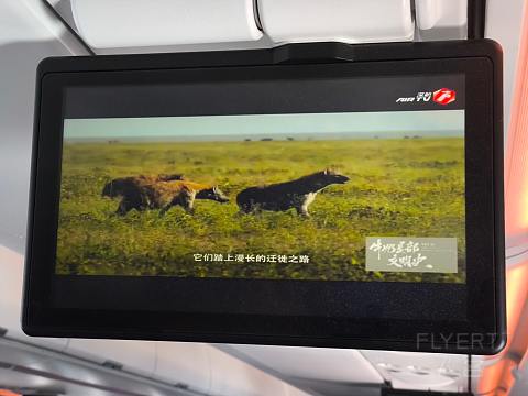 深航全新21N, 深沪航线深航初体验。-深圳航空 ZH9503 空客A321neo SZX-SHA 经济舱