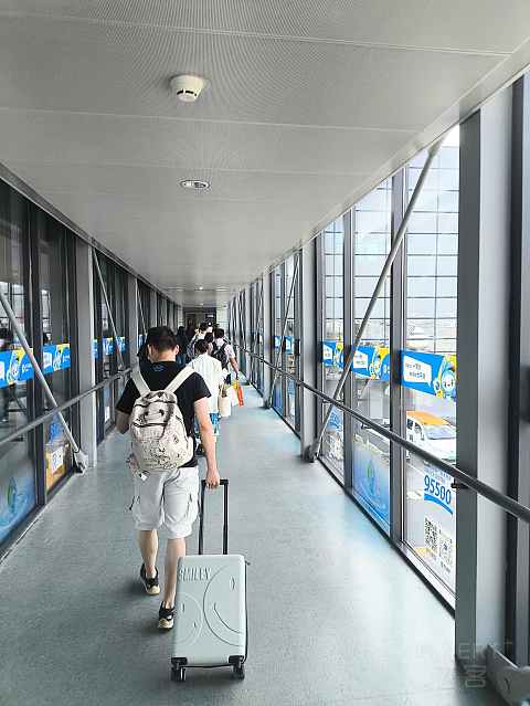 深航全新21N, 深沪航线深航初体验。-深圳航空 ZH9503 空客A321neo SZX-SHA 经济舱