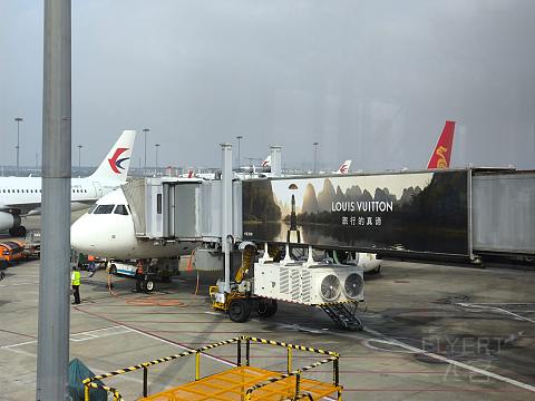 深航全新21N, 深沪航线深航初体验。-深圳航空 ZH9503 空客A321neo SZX-SHA 经济舱