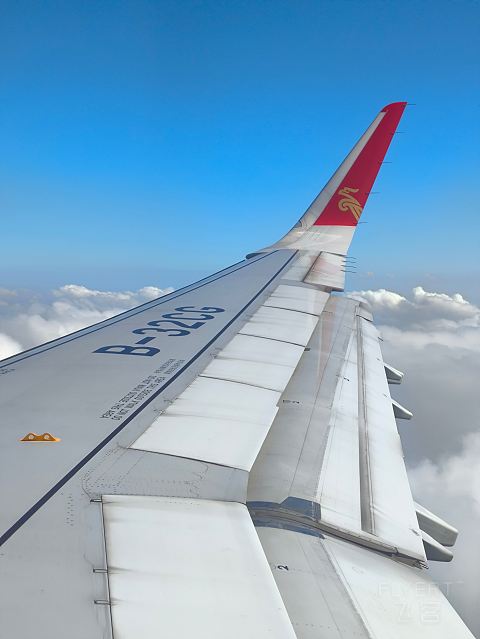 深航全新21N, 深沪航线深航初体验。-深圳航空 ZH9503 空客A321neo SZX-SHA 经济舱