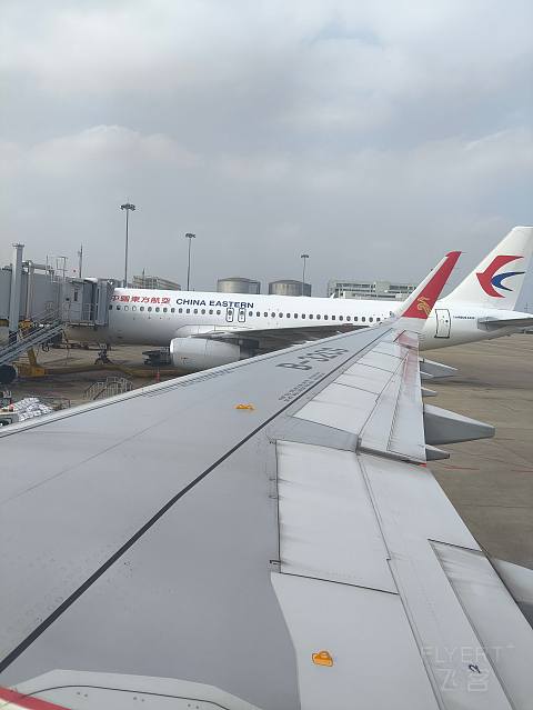 深航全新21N, 深沪航线深航初体验。-深圳航空 ZH9503 空客A321neo SZX-SHA 经济舱
