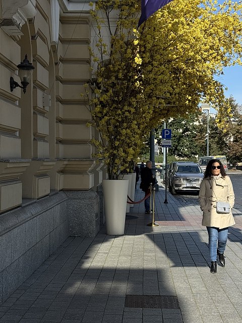 可能是茶馆首发之维尔纽斯大饭店 - Grand Hotel Vilnius, Curio Collection by Hilton