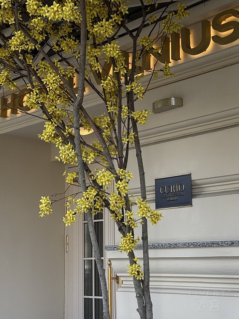 可能是茶馆首发之维尔纽斯大饭店 - Grand Hotel Vilnius, Curio Collection by Hilton
