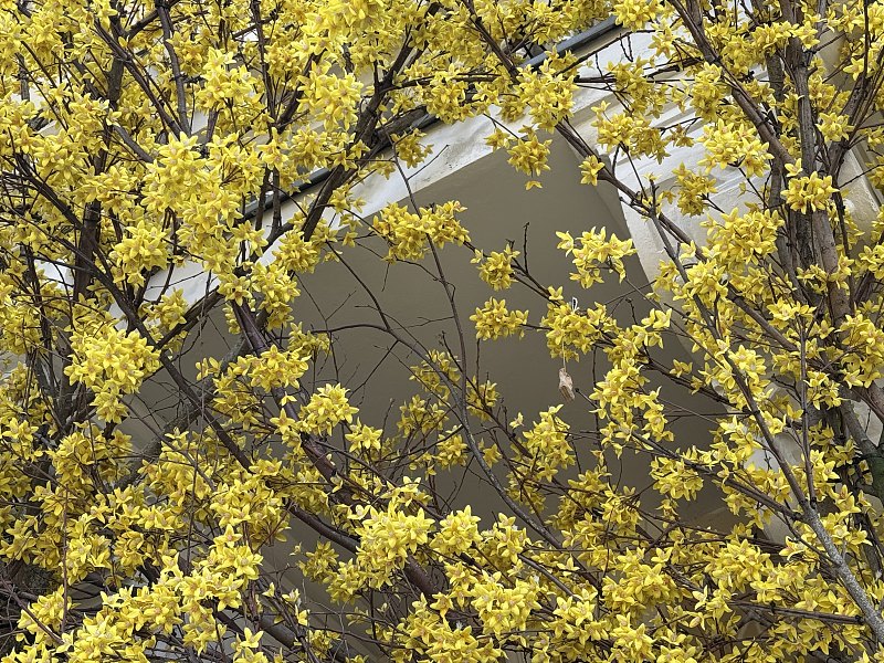 080243GYSQSVPWVTWXSLJS.png 080243GYSQSVPWVTWXSLJS.png