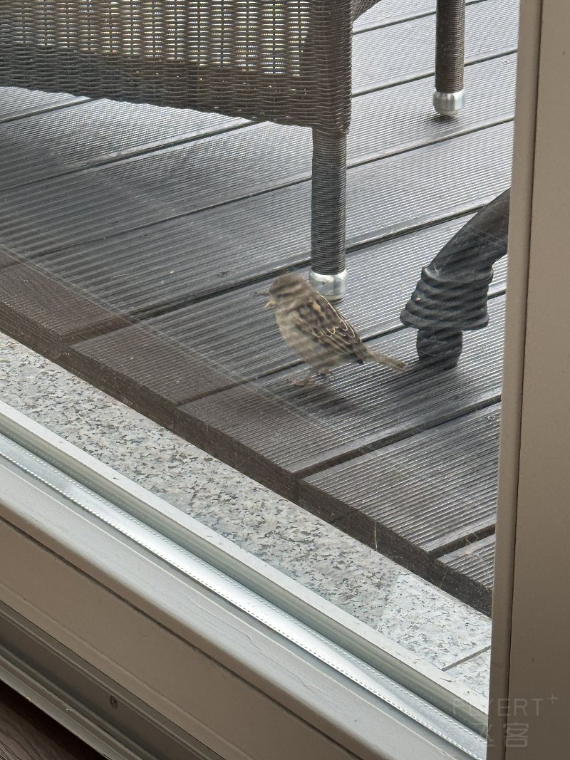 085530IROLKRFZODBIRZHK.png 085530IROLKRFZODBIRZHK.png