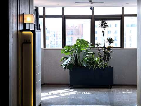 是套壳安卓还是纯血鸿蒙：特许经营的北京东三环希尔顿逸林酒店-尊贵豪华套房