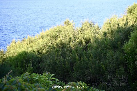 抓住这片蓝色秘境的尾巴｜南麂岛旅行攻略【D旅享家推荐】