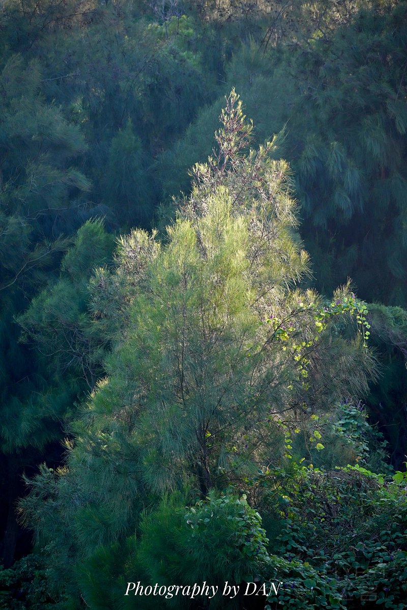 220525ECOLTSYGMSGKSHFK.png