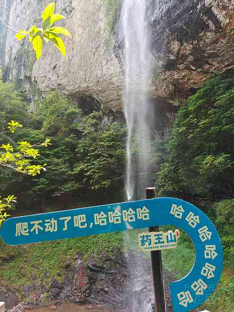 大气的衢州希尔顿逸林