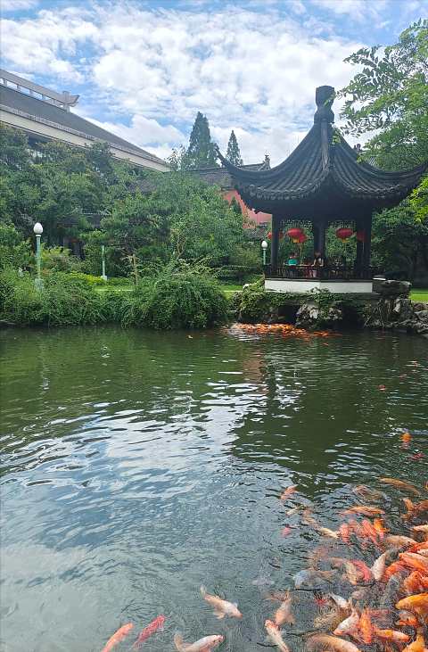 大气的衢州希尔顿逸林