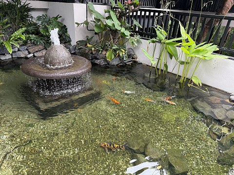 正国庆1-6，深度游兰卡威，打卡亚洲TOP之一的兰卡威丽思卡尔顿！