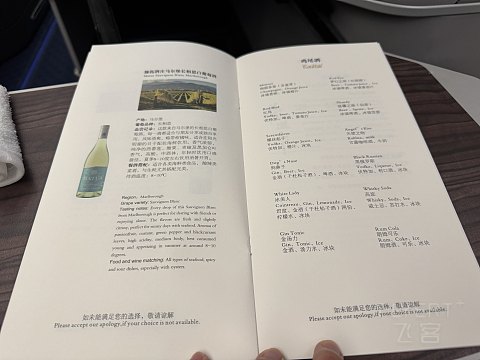 南廉航还是南怜航-中国南方航空CZ674伦敦希斯罗北京大兴商务舱体验