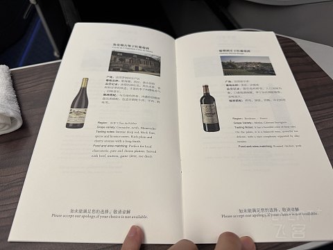 南廉航还是南怜航-中国南方航空CZ674伦敦希斯罗北京大兴商务舱体验