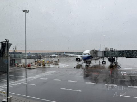 南廉航还是南怜航-中国南方航空CZ674伦敦希斯罗北京大兴商务舱体验