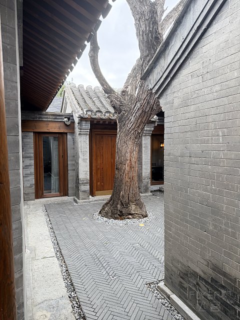 当迷人的前门文华东方遇上同样醉人的秋